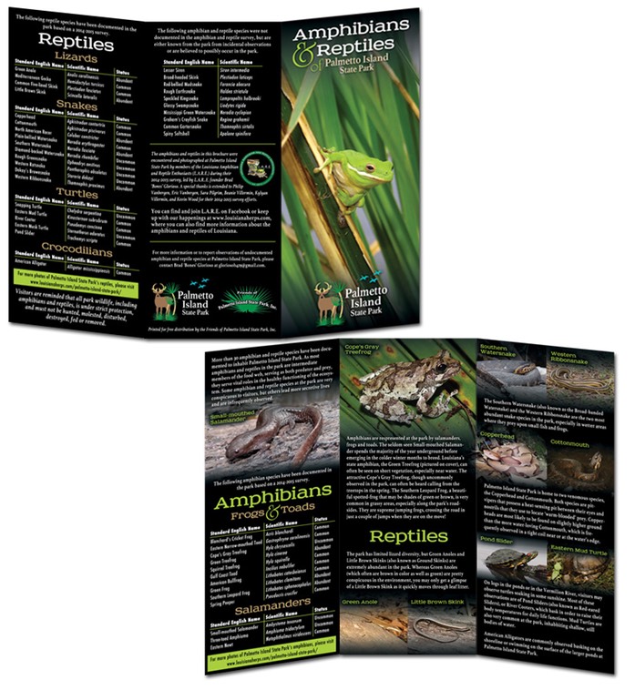 Amphibians and Reptiles of Palmetto Island State Park